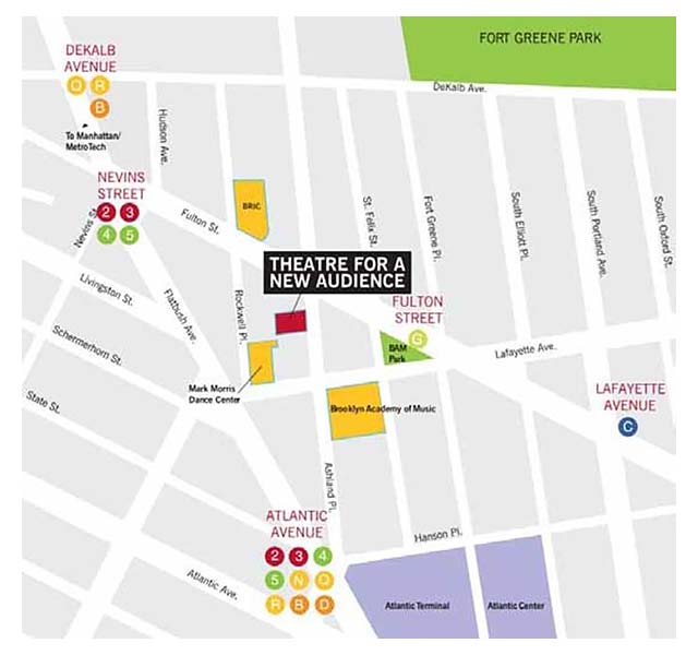 Dowtown Brooklyn Cultural District Map, Overall Site Map